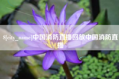 白沙中国消防直播回放中国消防直播