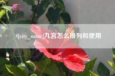 白沙九宫怎么排列和使用