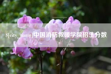 白沙中国消防救援学院招生分数