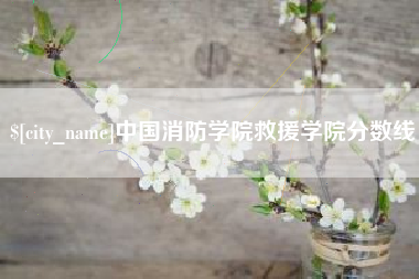 白沙中国消防学院救援学院分数线