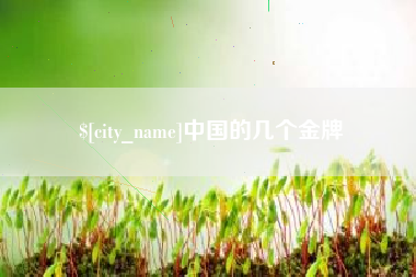 白沙中国的几个金牌