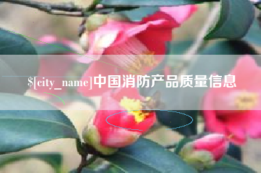 白沙中国消防产品质量信息