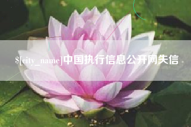 白沙中国执行信息公开网失信