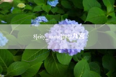 白沙2022九宫