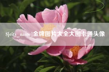 白沙金牌图片大全大图卡通头像