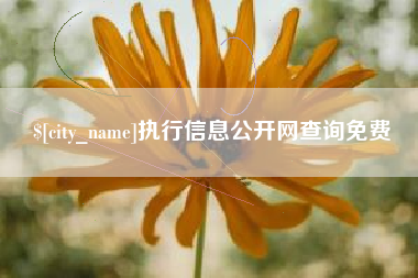 白沙执行信息公开网查询免费