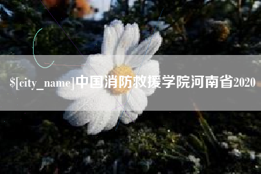 白沙中国消防救援学院河南省2020